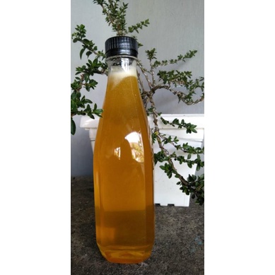 

madu multiflora 500ml