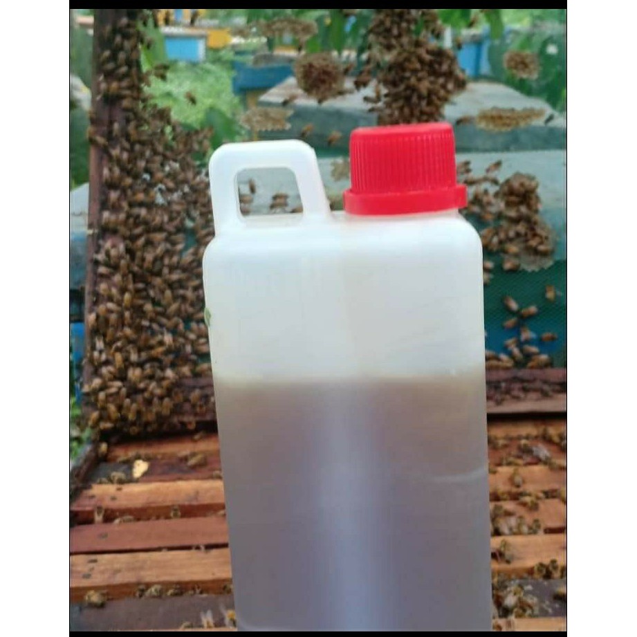 

MADU Kapuk / Randu (berat 1 kg)