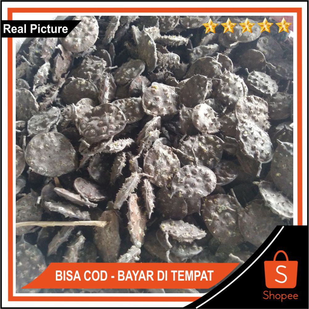 

Herbal Seprantu 1kg Kering Separantu Saparantu