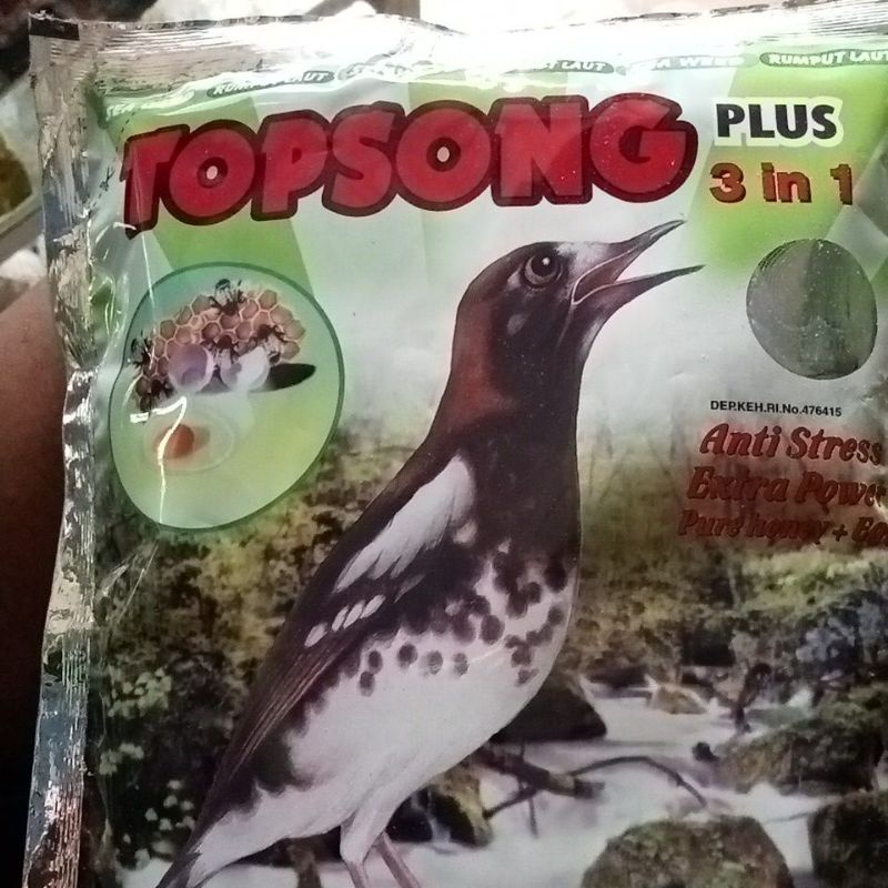 Top song rumput laut