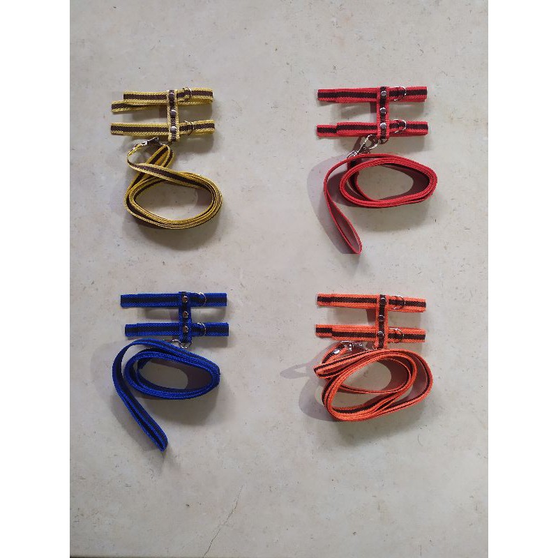 (COD) Hernes Harnes H Hewan kecil Bajing Tupai Sugar Glider Hamster