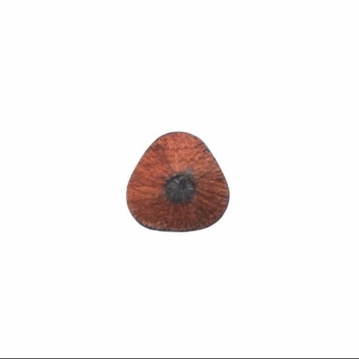 

Pling Dicari Pensil Lyra Groove Jumbo 10mm HB Pencil Segitiga Besar Belajar Menulis +l: