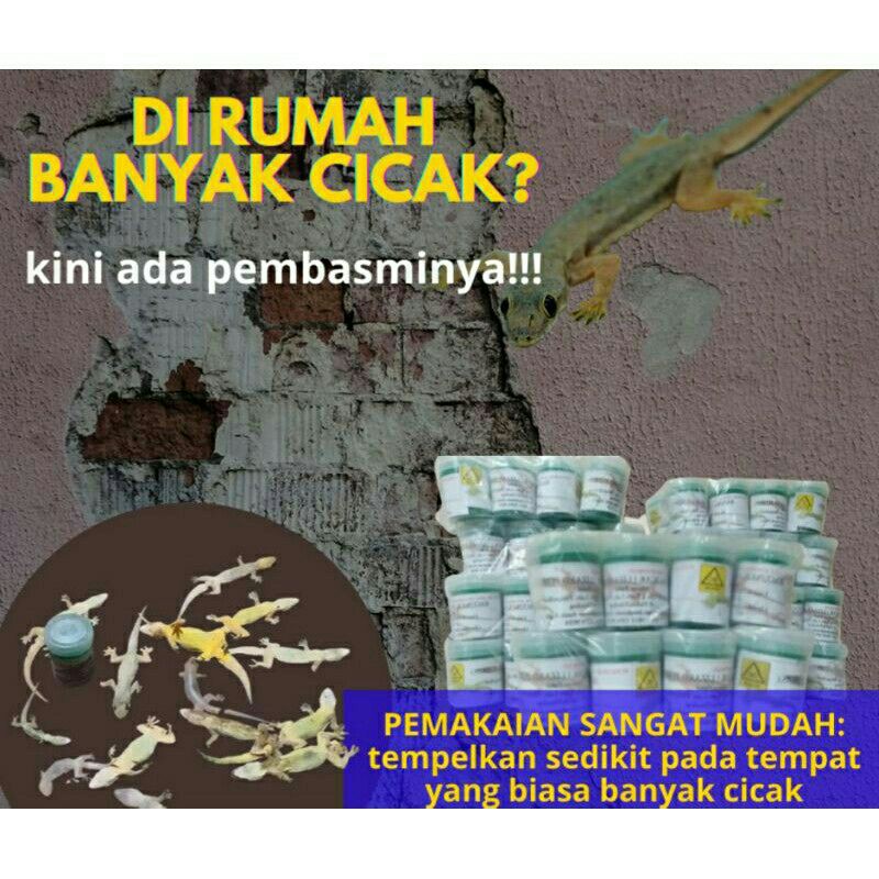 

pembasmi tokek dan cicak.super dahzat