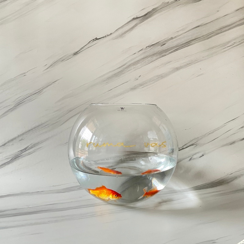 Vas bunga kaca bulat lingkar 12 liter aquarium besar jumbo terrarium terarium vas