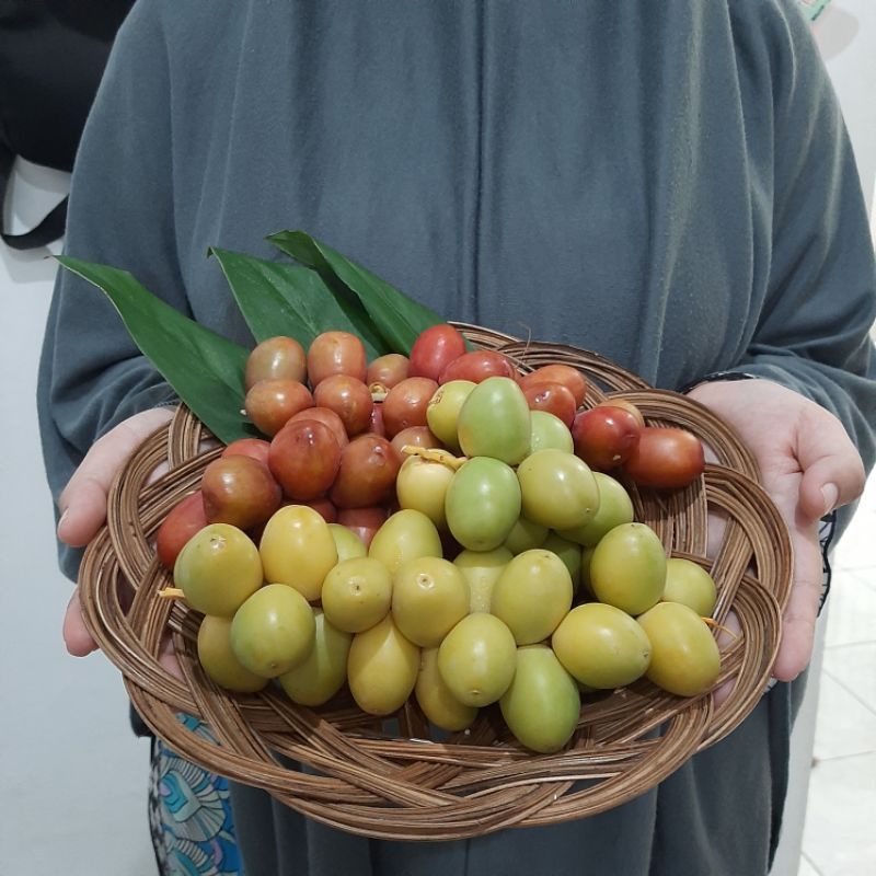

Kurma muda promil warna campur mix fresh ruthob mengkel gratis testpack