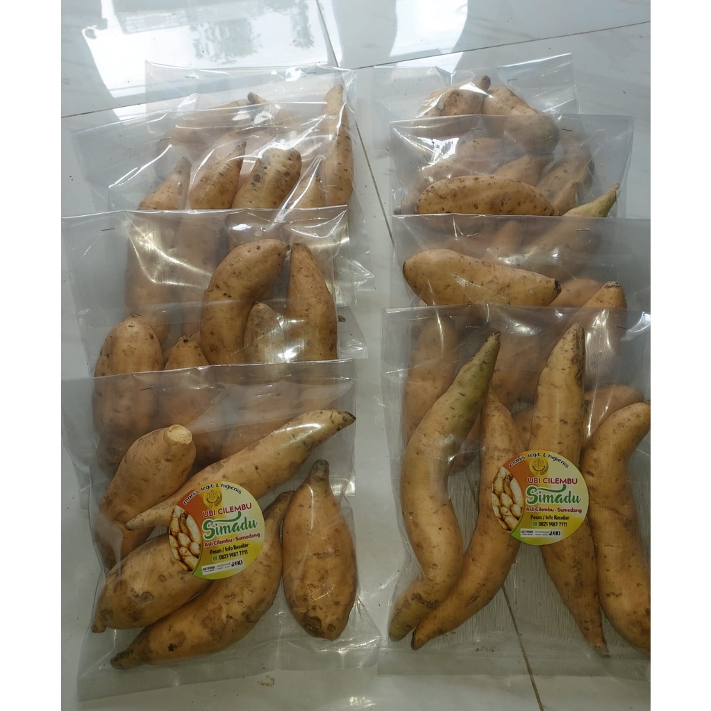 

UBI CILEMBU SIMADU