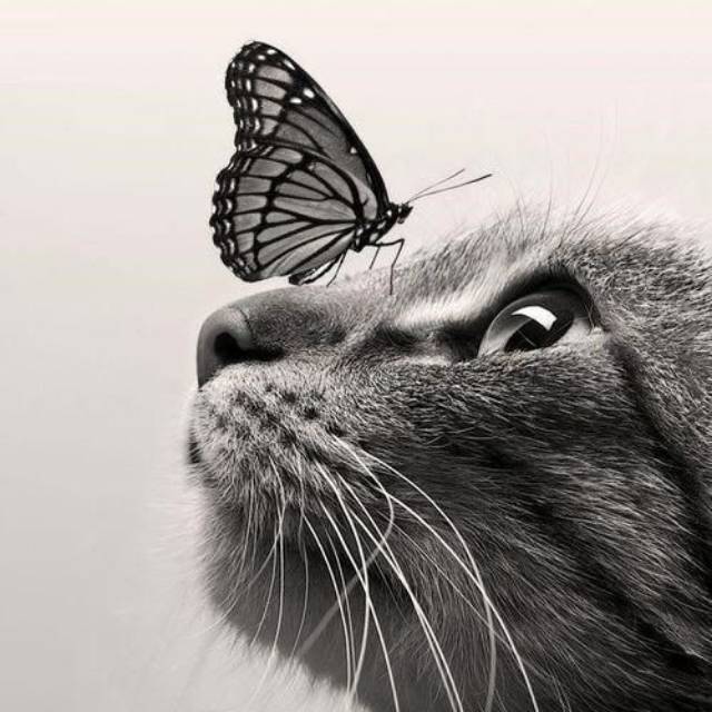 muslimah_ligestyleziah