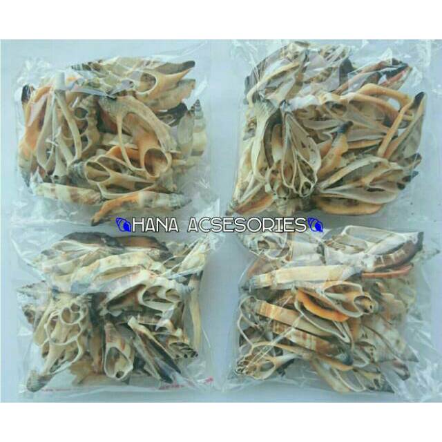 Kulit kerang daun untuk hiasan tas rotan dan kerajinan