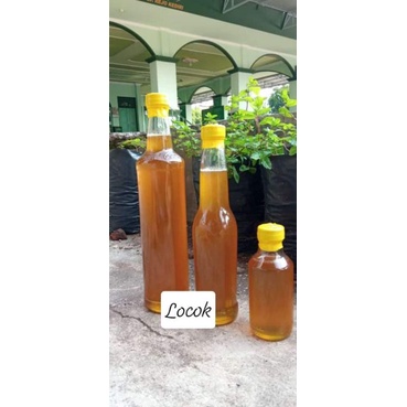 

Madu Hutan Locok