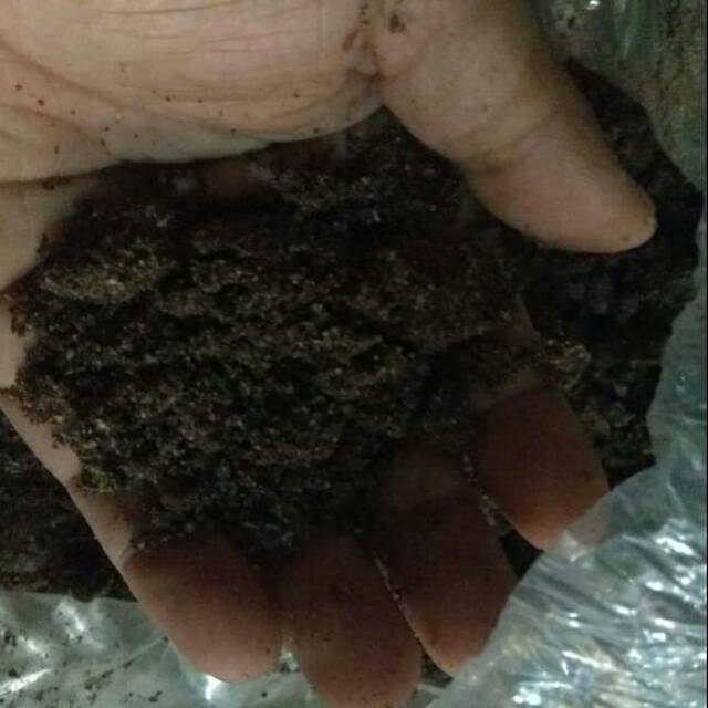 

Oreo tanpa campuran