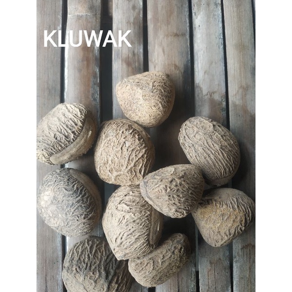 kluwak kluwek keluak bumbu rawon 500 gram