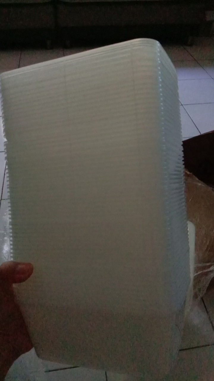 Thinwall 1000 Ml Rec(min Order 25 Dan Kelipatannya)