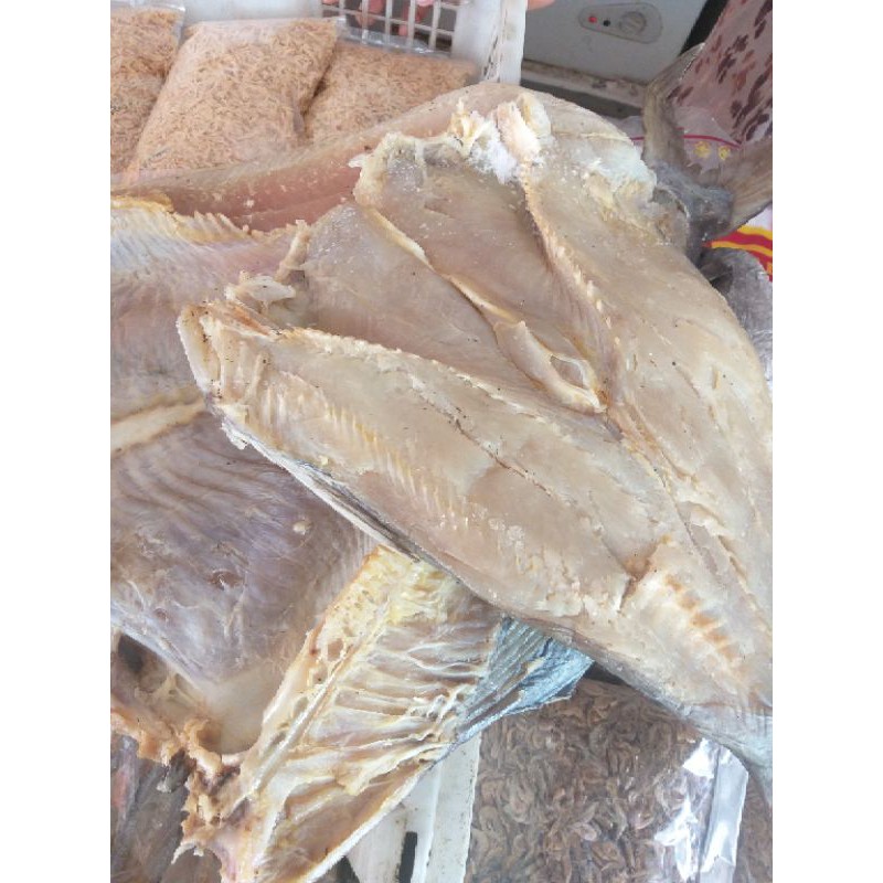 

ASIN JAMBAL PREMIUM FRESH STOCK PRODUSEN