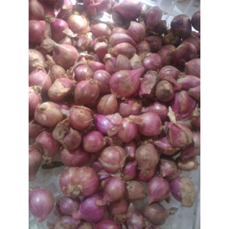 

satu paket bumbu dapur 1/4 bawang merah 1/4bawang putih 1/4 cabe merah besar 1/4cabe kecil