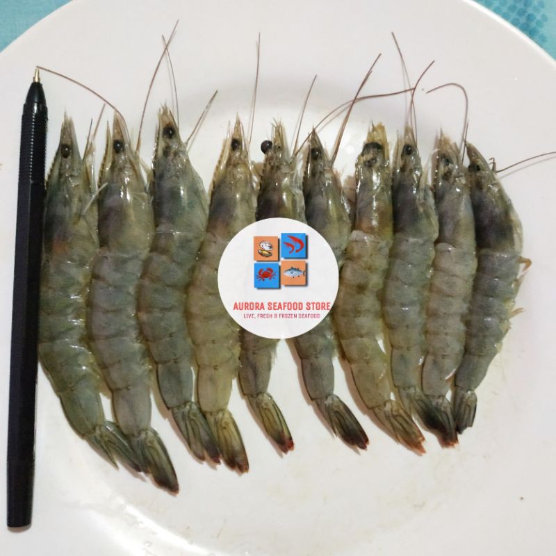 

Udang Vaname Fresh