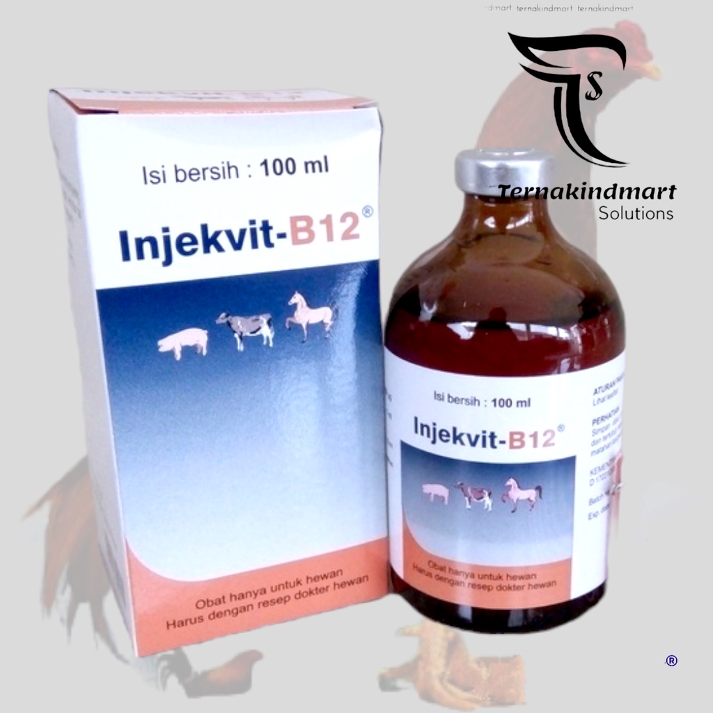 Injekvit B12 - Suntik Vitamin Mineral Ayam Bebek Unggas