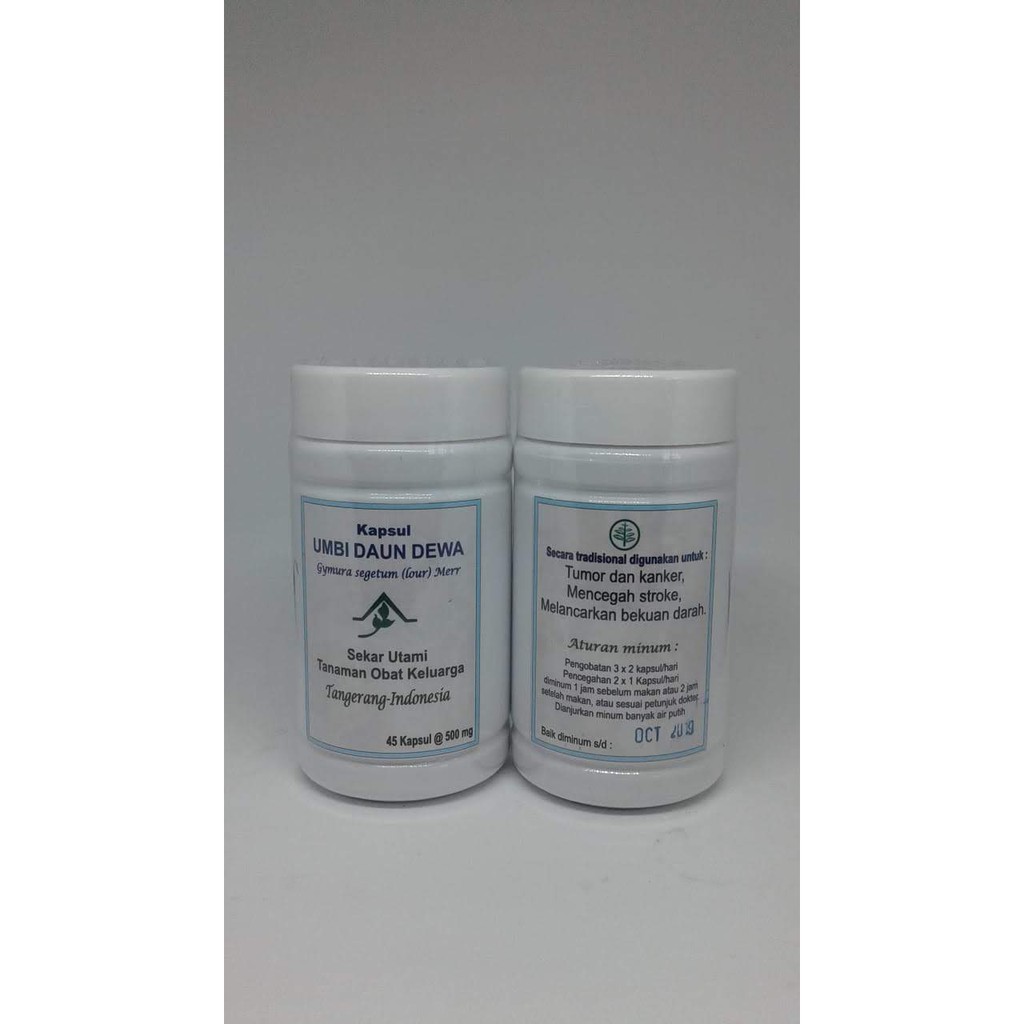 

Herbal Tumor Kanker Stroke dan Pembekuan Darah | Herbal Umbi Daun Dewa | Racikan Dokter