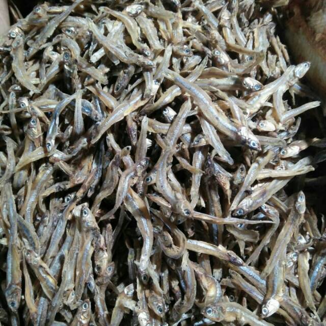 

IKAN TERI