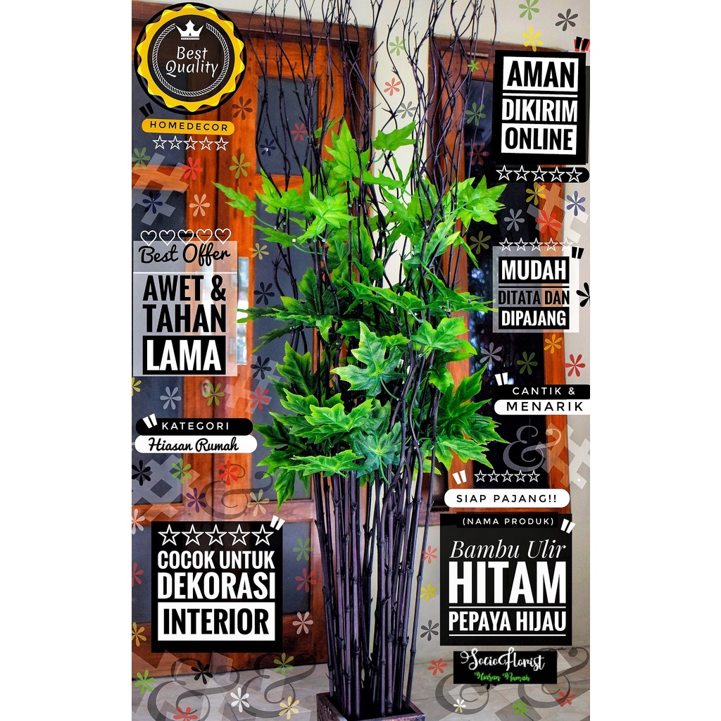 bambu ulir hias 10 Btg Bambu Ulir Hitam Maple Amrik Hijau 190cm (Tanpa Pot)