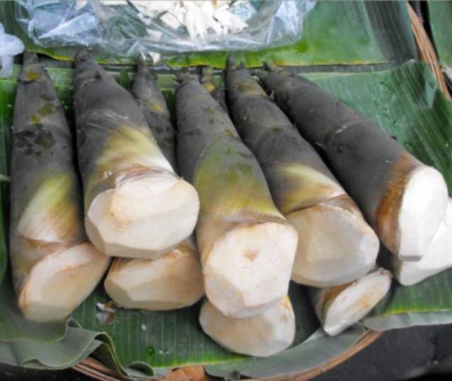 Rebung Bambu Mudaaa Enak Di Kosumsi Asli Original 2 Kg Shopee Indonesia