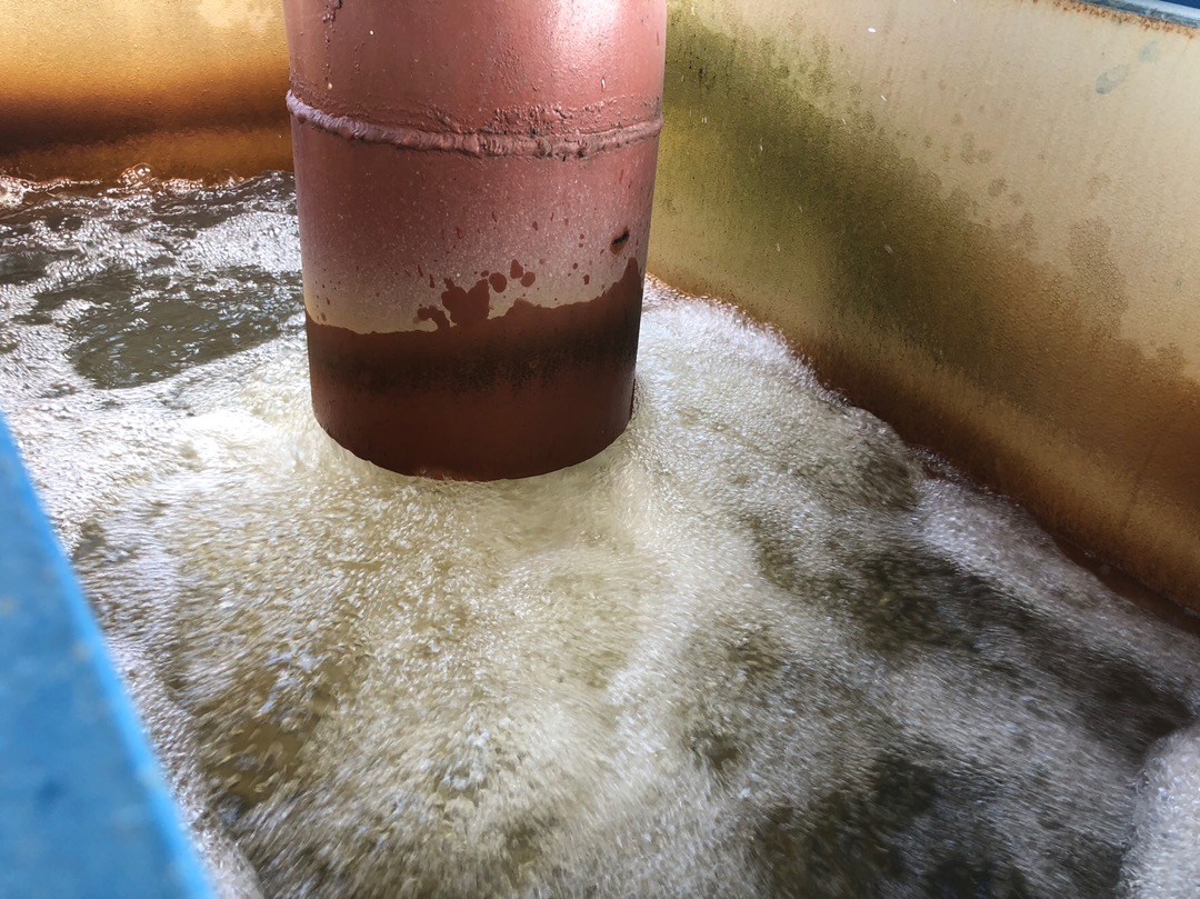 (c112) Sikat Pembersih Botol / Sikat Serbaguna