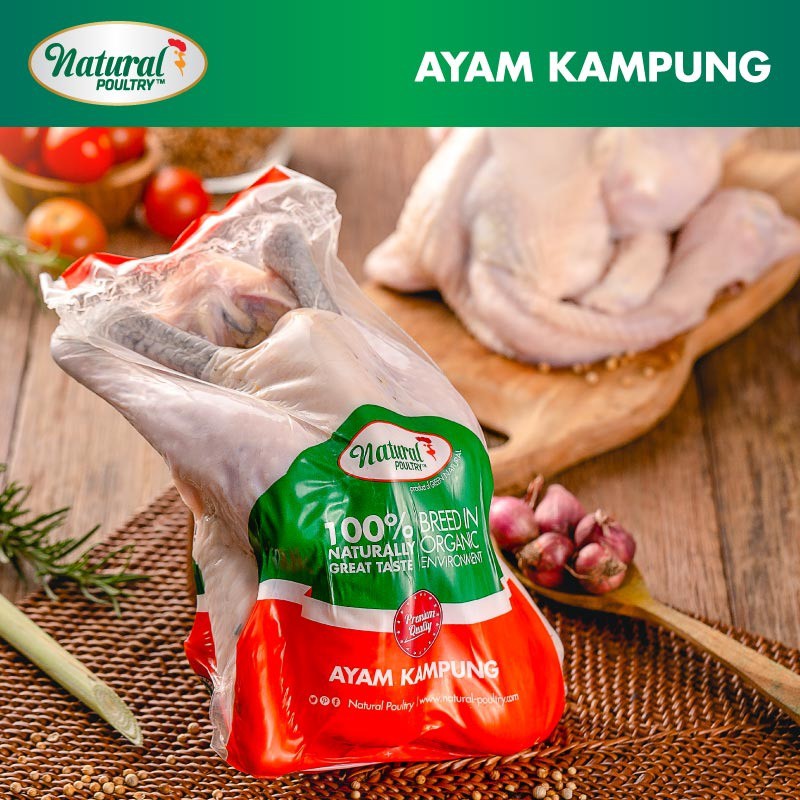 

Ayam Kampung Asli Utuh Organik Natural Poultry