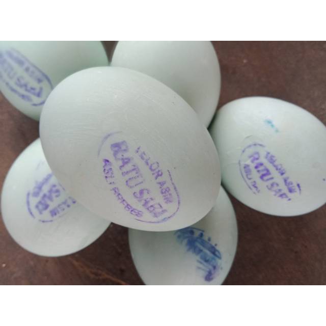 

Telur Asin