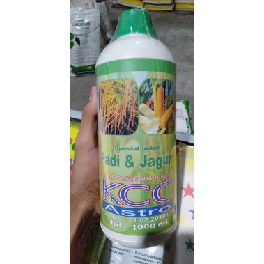 KCC Astro PADI Dan JAGUNG 1Liter