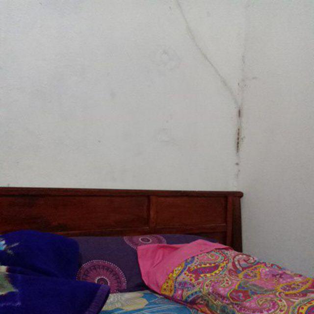  Kaos Kerah Walrus  Shopee Indonesia