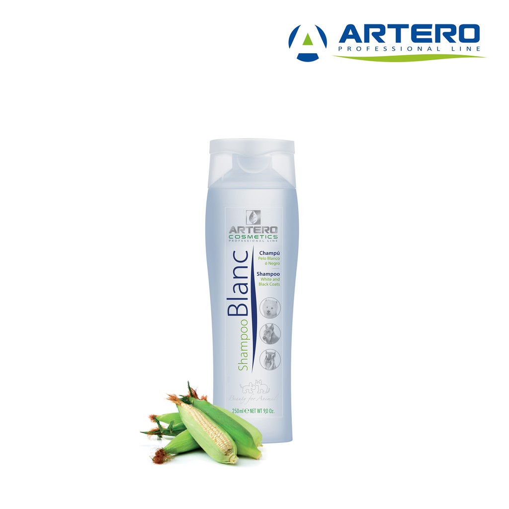 Jual Artero Blanc Shampoo 250ml | Shopee Indonesia