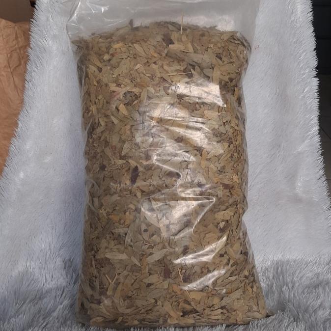 

(BISA COD) Teh Daun Jati Belanda 1kg BERGARANSI Kode 1479