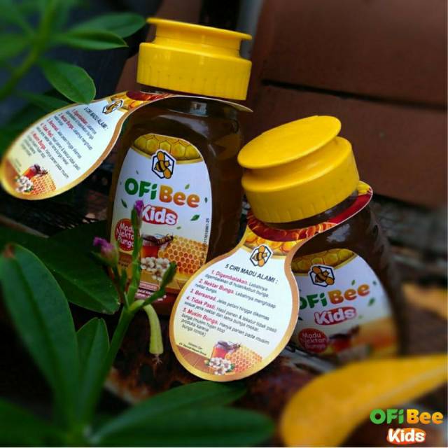 Madu Batuk dan Madu Kecerdasan | Madu Nafsu Makan Anak | Madu Murni Alami Anak | Madu OFi Bee Kids