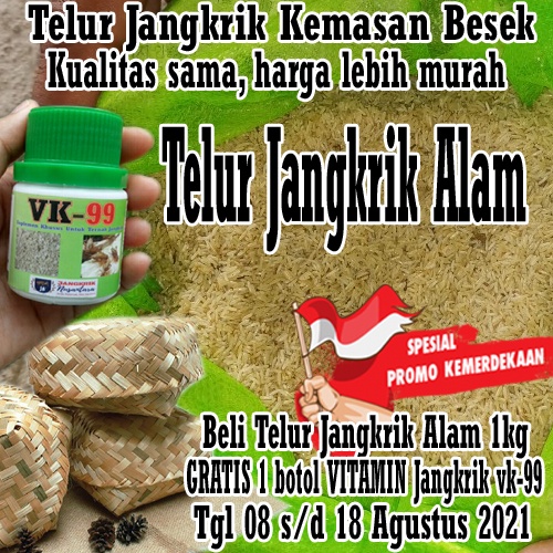 [Packing Besek] TELUR JANGKRIK ALAM 1KG dikemas dalam BESEK