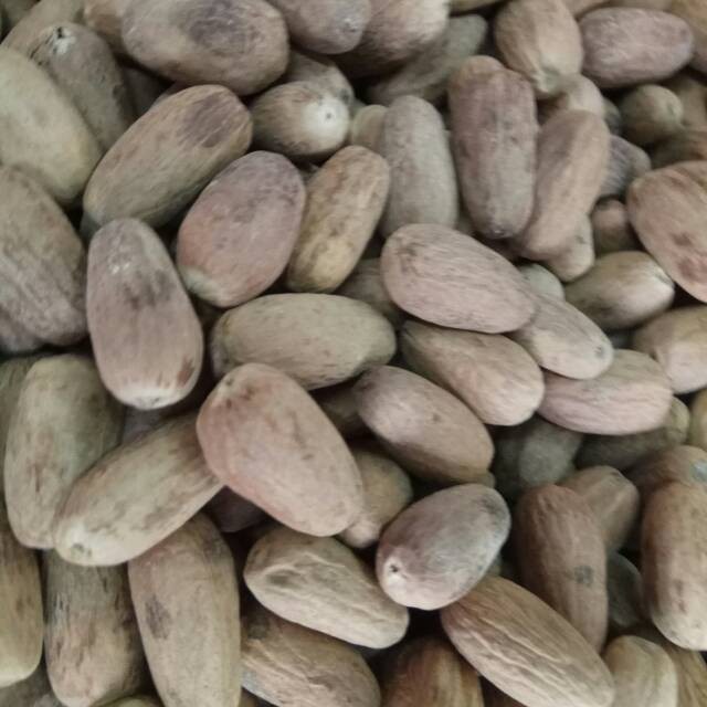 

Biji Pala