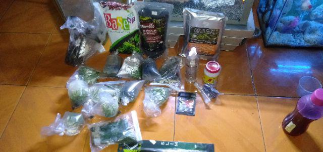 Pupuk Cair Ferti One Macro+ 200ml