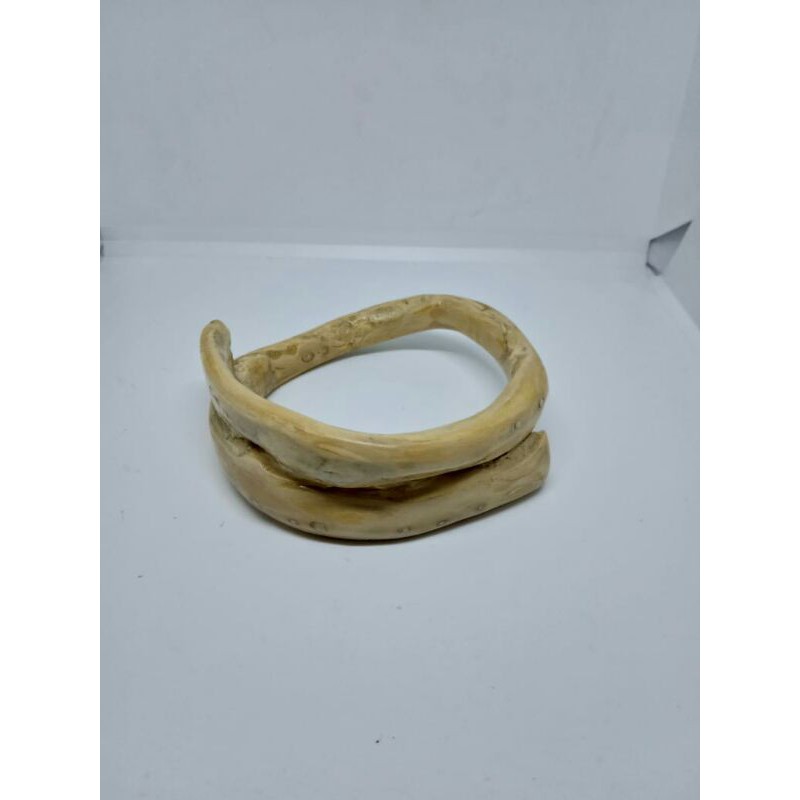 gelang akar Bahar putih