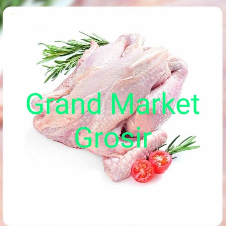 

Ayam Karkas Broiler 0.7 kg Beku Belum Dipotong Uncut Chicken Frozen 700 gram