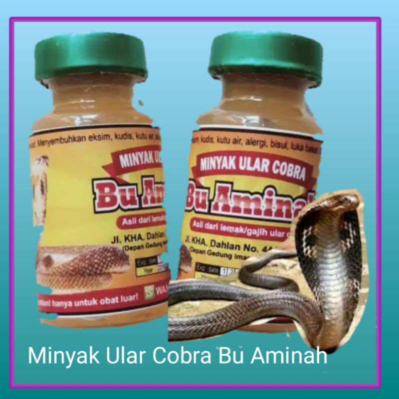 MINYAK ULAR COBRA