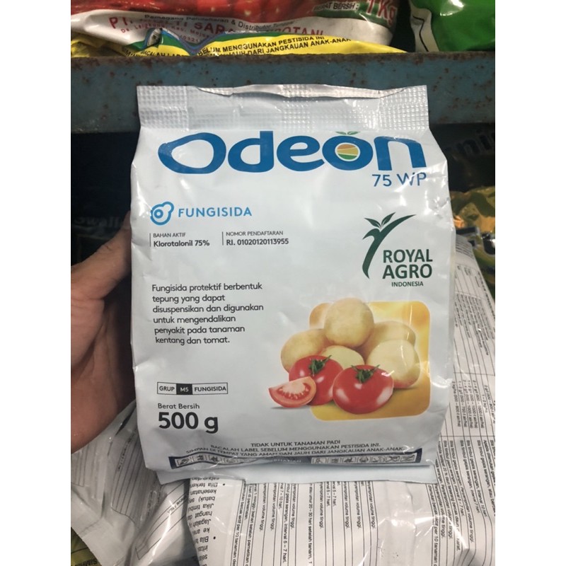 Odeon 75 WP