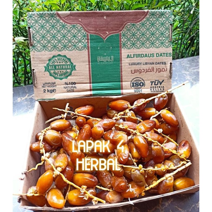 

TERLARIS Kurma Muda Ruthob Libya 2kg Ruthab Libya/KURMA 1KG/KURMA BARARI/KURMA RUTHOB/KURMA BAM/KURMA PALM FRUIT/KURMA TANGKAI/KURMA AZWA/KURMA SUKKARI/KURMA SAFAWI/KURMA TUNISIA/KURMA MUDA KUNING/KURMA MUDA HIJAU/KURMA MEDJOL/KURMA MADINAH SUPER