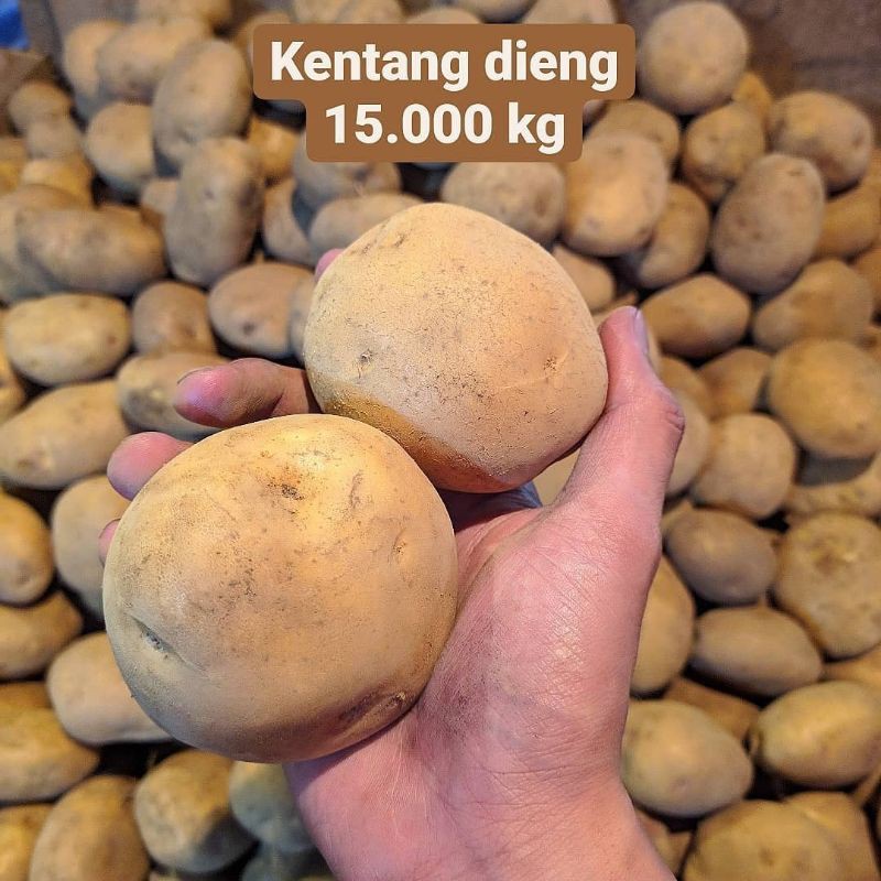 

Kentang dieng 1kg