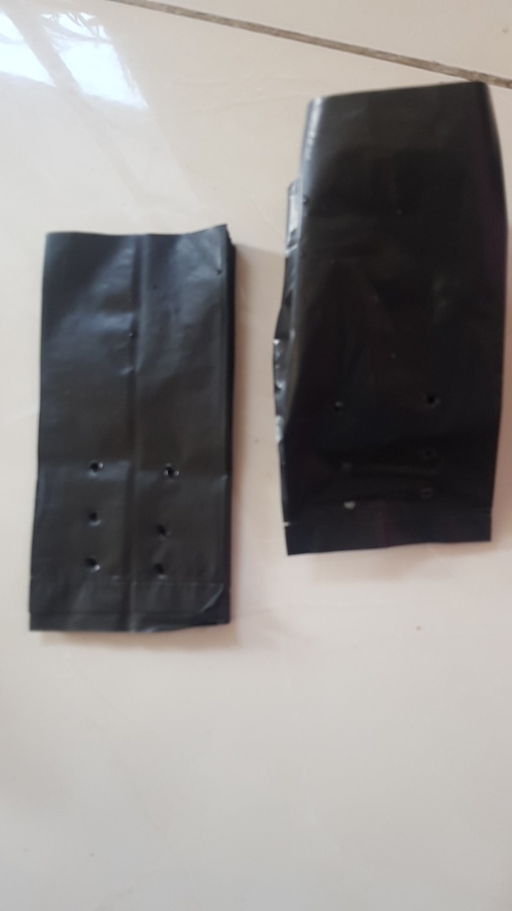 Polybag Kecil Hitam Ukuran 15cm 10 Lembar