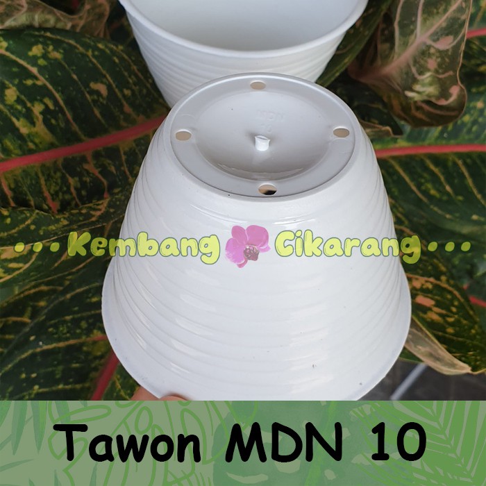 MODEL TAWON MDN UK 10 pot bunga model tawon kecil mungil pot kaktus pot mini bagus warna warni