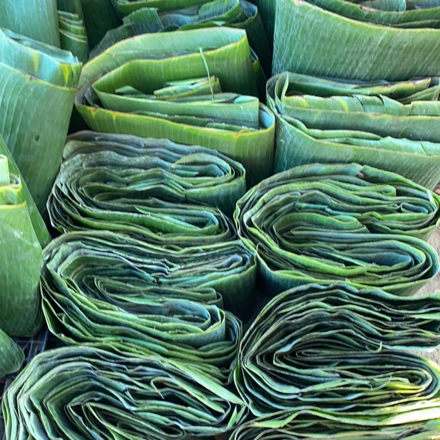 

Daun Pisang