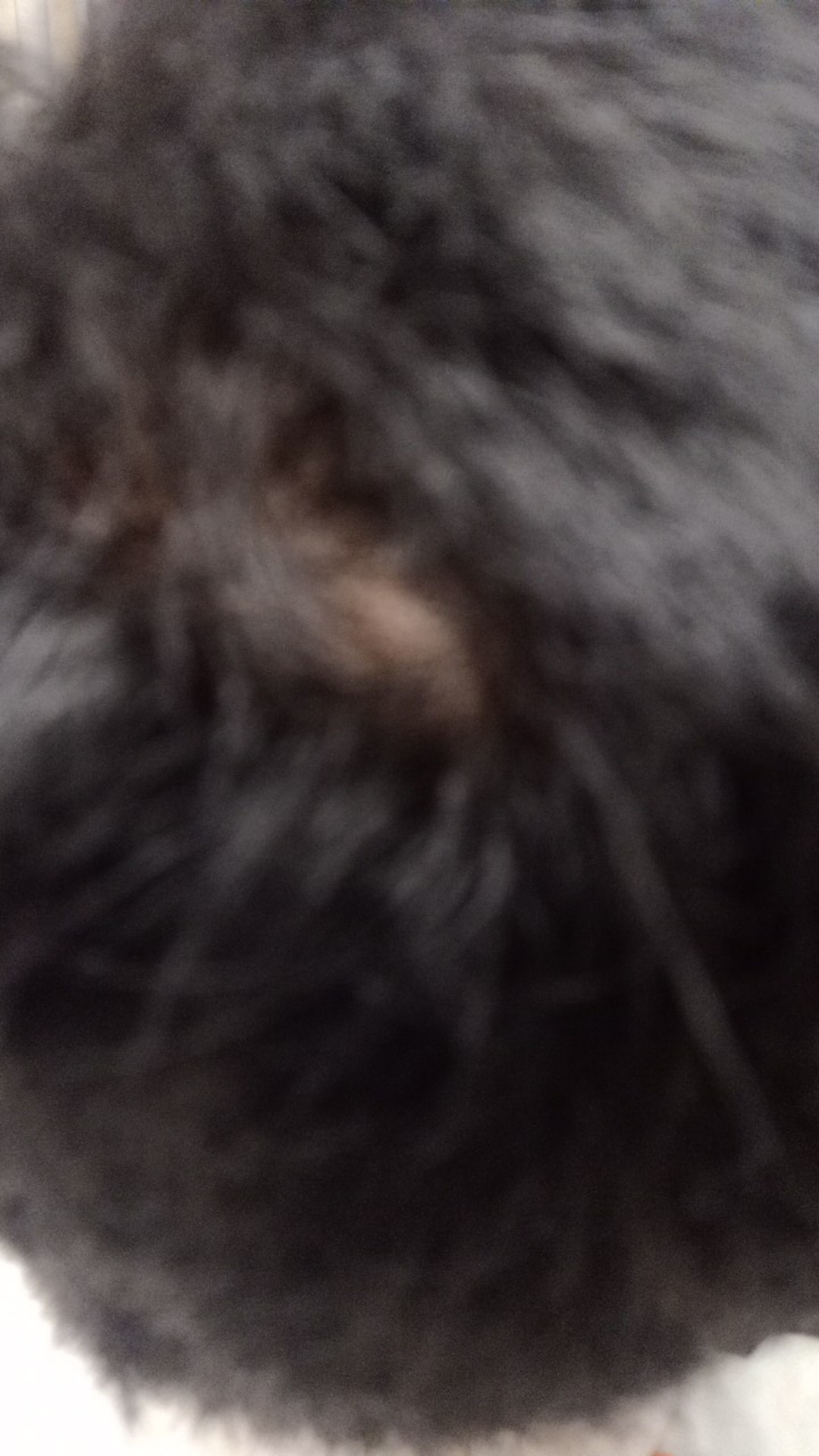 Kemeja Batik Pria Size  M L Xl Xxl Bswart Batik Hrb026 Kenongo Hem Panjang Padi