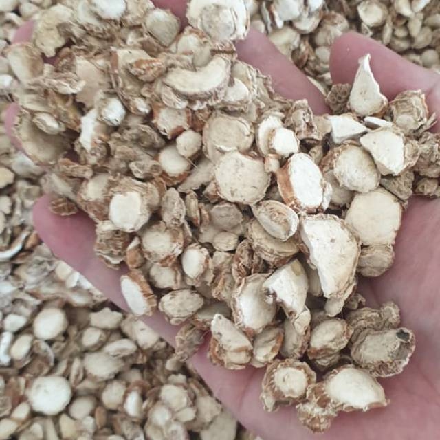 

Kencur Kering 1 kilogram. Bagus untuk Jamu dan masakan