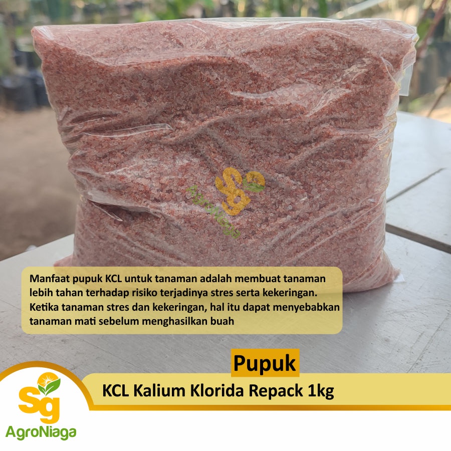 Jual Pupuk Kcl Kalium Repack Kg Shopee Indonesia