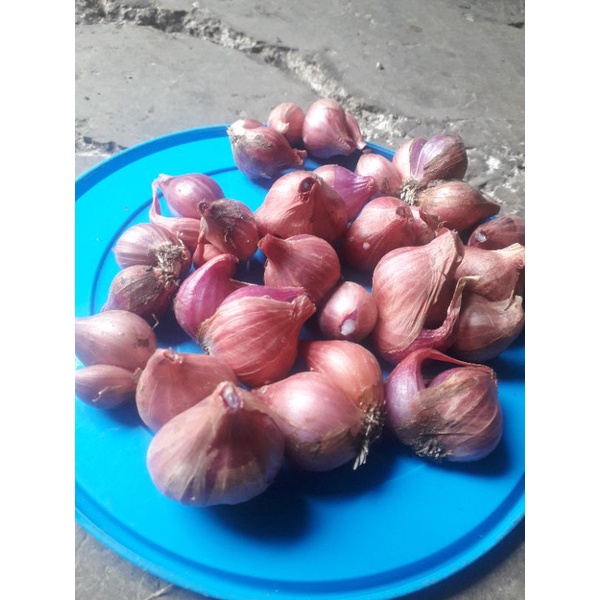 

Bawang Merah Alhanpanjang 500 gram