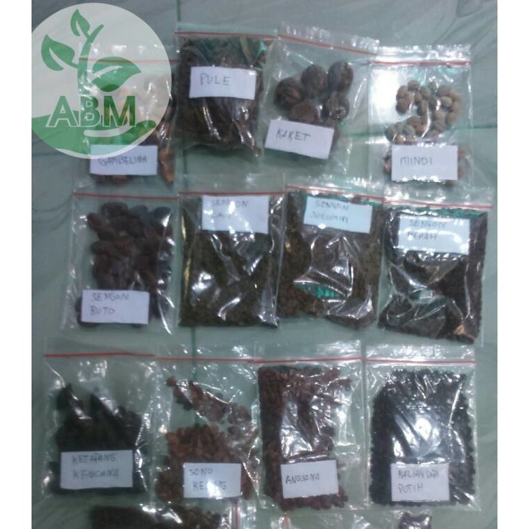 Jual Biji Jabon/Jati Kebon Kemasan 1 Ons | Shopee Indonesia