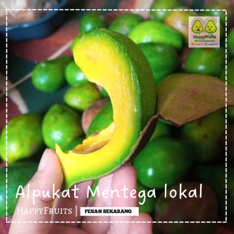 

BUAH ALPUKAT MENTEGA LOKAL HAPPYFRUITS 2KG